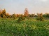 Участки Зорино