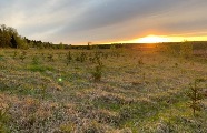 Поселок Зорино