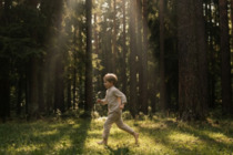 Коттеджный поселок 