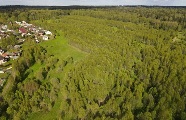 Поселок Деньково Дачное
