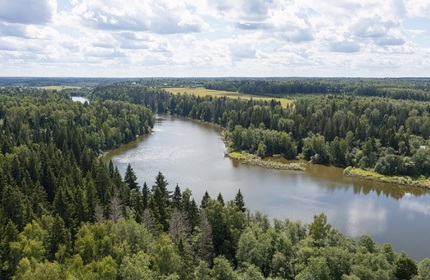 Поселок Петряиха