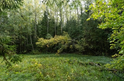 Поселок Экопарк Истра
