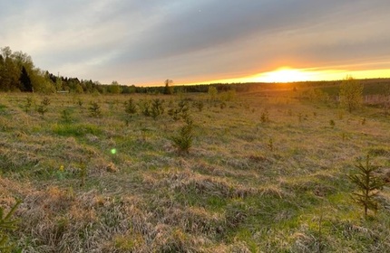 Поселок Зорино