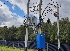 Виды Альбатрос