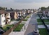 Виды Подсолнух Парк