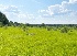 Виды Зорино