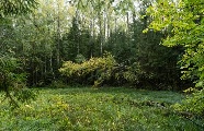 Поселок Экопарк Истра