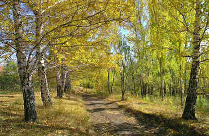 Поселок Озерный край Лыщево