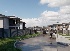 Виды Подсолнух Парк