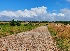 Виды Альбатрос